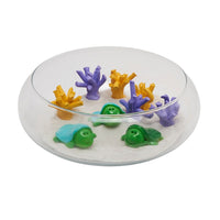 Shelly the Turtle